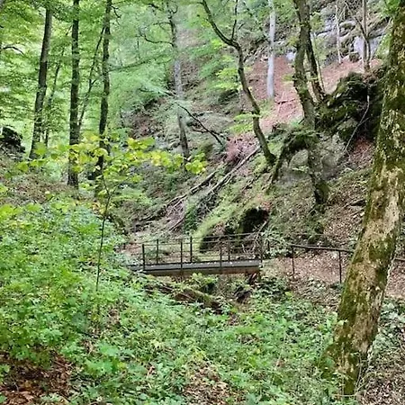 Albliebe Messstetten